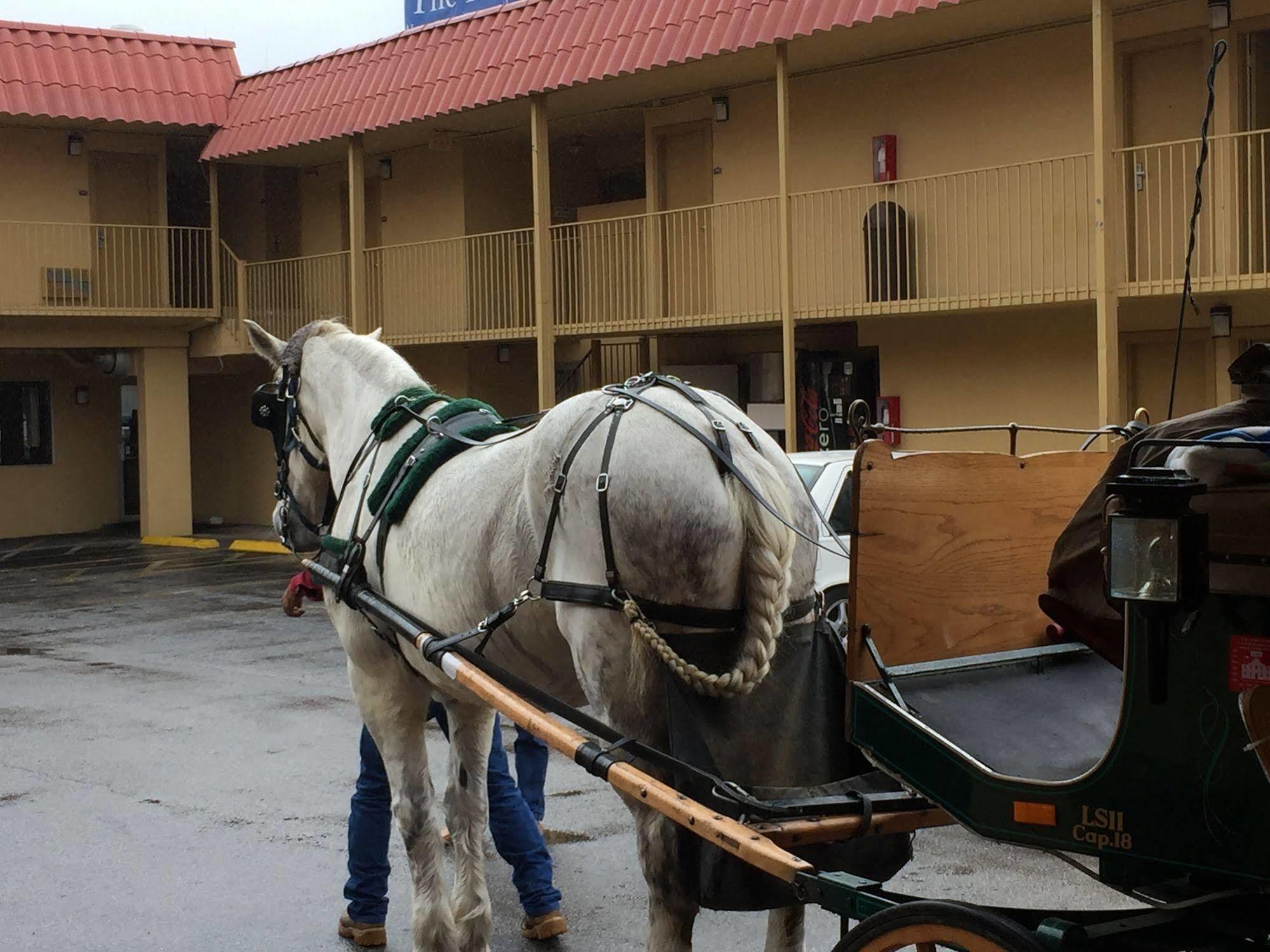 סן אנטוניו The Inn At Alamo / Riverwalk / Convention Center מראה חיצוני תמונה